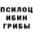 Галлюциногенные грибы Magic Shrooms Am King