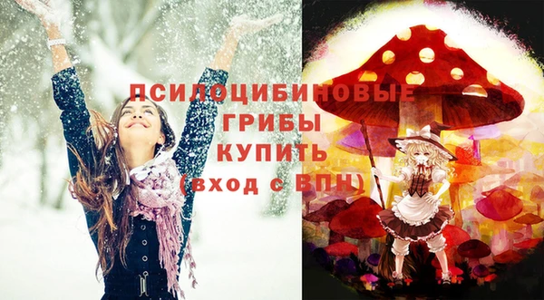 apvp Кинешма