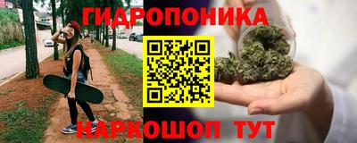 гашик Старая Купавна