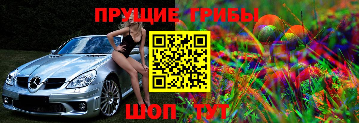 Псилоцибиновые грибы Psilocybine cubensis  Вход с VPN  как найти   Галлюциногенные грибы Psilocybe  Старая Русса 